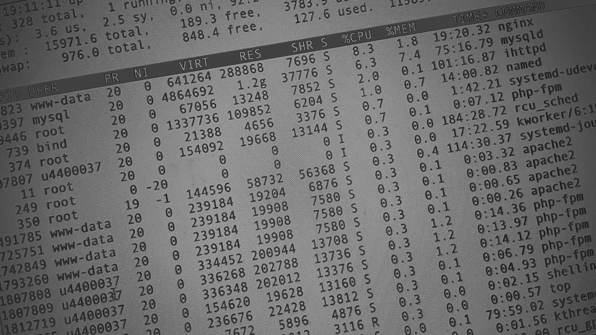 Настройка сервера в Белгороде