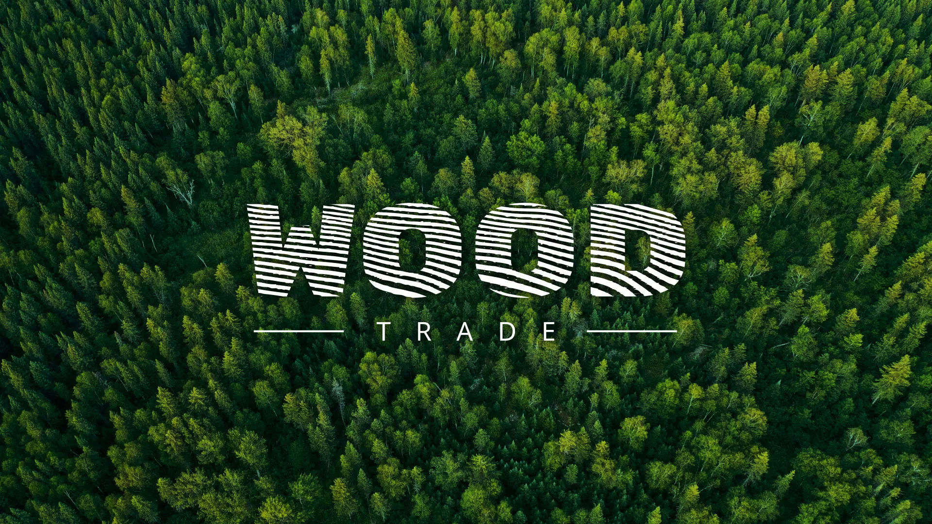 Разработка интернет-магазина компании «Wood Trade» в Белгороде