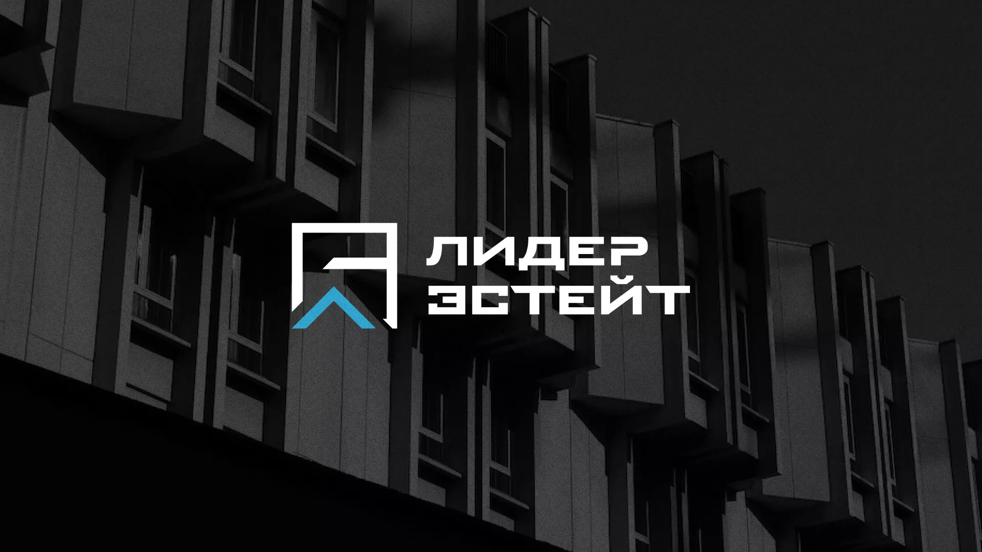 Разработка логотипа агентства недвижимости «Лидер Эстейт» в Белгороде